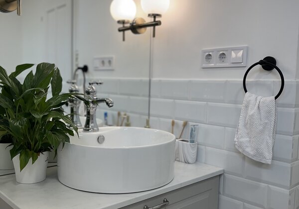 Plants in bathroom
