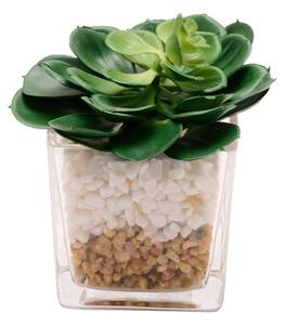 Country Living Artificial Succulents in Square Glass Plant Pot