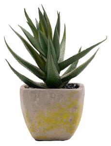 Country Living Artificial Succulent in Grey Plant Pot