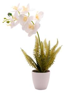 Country Living Large Artificial White Orchid in Ribbed Plant Pot