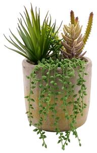 Country Living Artificial Trailing Succulents in Stoneware Plant Pot