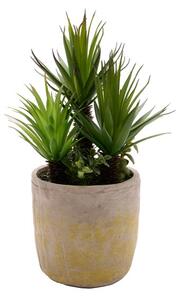 Country Living Artificial Madagascar Palm & Succulents in Grey Plant Pot