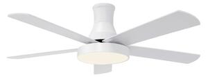 Ceiling Fan HJM VT562