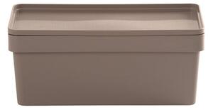 Studio Box with Lid 3.01