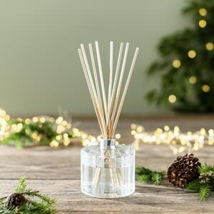 Mulled Wine Diffuser Clear