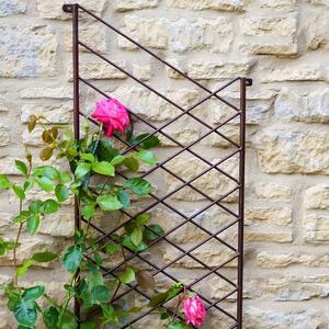 Outdoor Linear Trellis