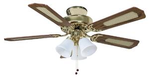 Fantasia 114192 Belaire Ceiling Fan In Polished Brass With Oak, Cane And Mahogany Blades And Light