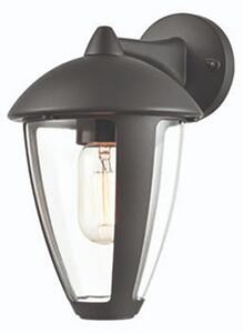Flora Outdoor Wall Lantern In Grey Finish OUT6636