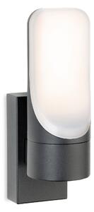 Firstlight 3856GP Eve LED Outdoor Wall Light In Graphite With Opal Glass IP54