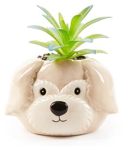 Dog Character Plant Pot Cream/Green