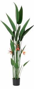 Decorative Plant DKD Home Decor 75 x 75 x 180 cm Orange Green Yellow polypropylene Bird of paradise