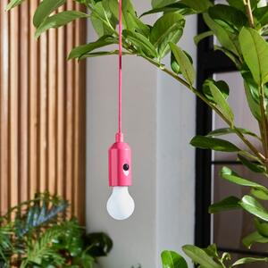 Rope Hanging LED Indoor Outdoor Light