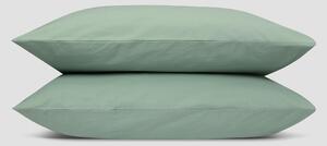 Mellow Green Washed Cotton Percale Pillowcases (Pair) | Square | Piglet in Bed