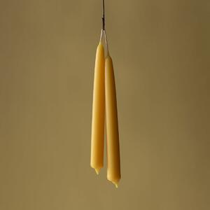 Piglet Goldenrod Beeswax Dining Candles Set of 2