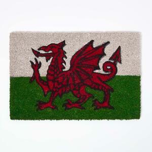 Homescapes Coir Doormat Welsh Dragon Flag, 40 x 60 cm