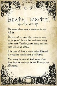 Poster Death Note - Rules, (61 x 91.5 cm)