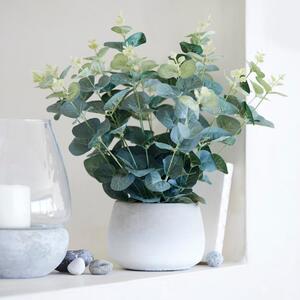 Artificial Eucalyptus Green in White Pot 33cm White