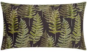 Kielder Forest Fern Night Oxford Edge Velvet 30cm x 50cm Filled Boudoir Black