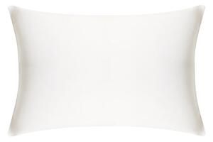 Mayfairsilk Ivory Pure Silk Pillowcase - Standard