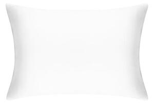 Mayfairsilk Brilliant White Pure Silk Pillowcase - Standard