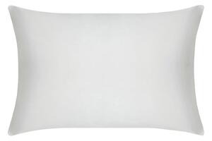 Mayfairsilk Oyster Grey Pure Silk Pillowcase - Standard