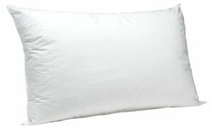 Wholesale Firm Support Pillows