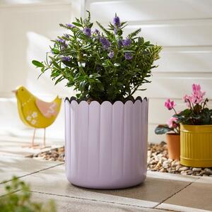 Bright Scalloped Metal Plant Pot