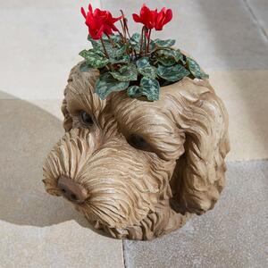 Cockapoo Head Plant Pot