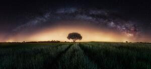 Photography Milky way over lonely tree, Ivan Ferrero