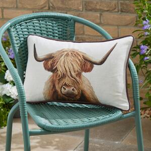 Highland Cow Rectangular Outdoor Cushion MultiColoured