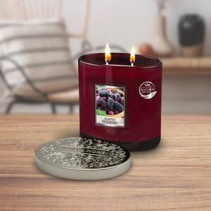 Heart and Home Ellipse Simply Mulberry Multi Wick Candle Purple