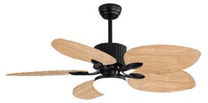 Ceiling Fan with Light Romimex Black Natural