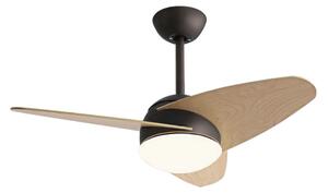 Ceiling Fan with Light Romimex Black Natural