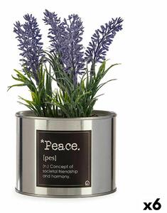 Decorative Plant Plastic Lavendar Can 6 Units