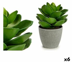 Decorative Plant Grey Green (16 x 21 x 16 cm) (6 Units)