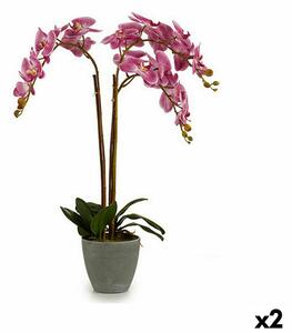 Decorative Plant Orchid Plastic 33 x 77 x 33 cm (2 Units)