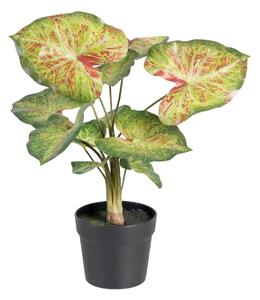 Decorative Plant 48 x 46 x 55 cm Red Green PVC