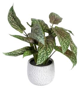 Decorative Plant Green PVC 52 x 44 x 44 cm