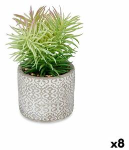 Decorative Plant Succulent Wood Plastic 12 x 22 x 12 cm (8 Units)