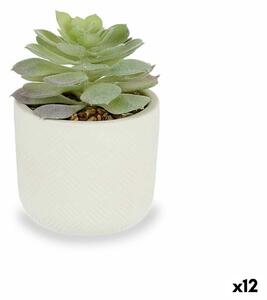 Decorative Plant Succulent Plastic 14 x 13,5 x 14 cm (12 Units)