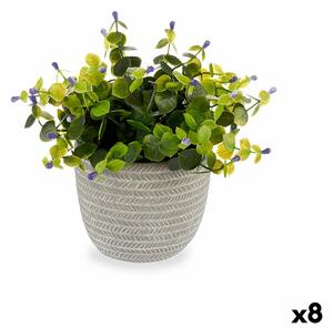 Decorative Plant Flowers Plastic 21 x 20,6 x 21 cm (8 Units)