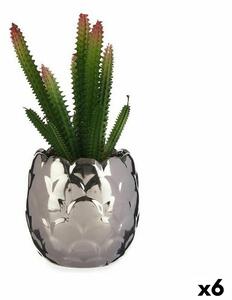 Decorative Plant Cactus Ceramic Plastic 10 x 20 x 10 cm (6 Units)