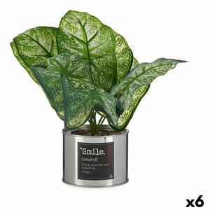 Decorative Plant Caladium Metal Plastic 26 x 26 x 26 cm (6 Units)