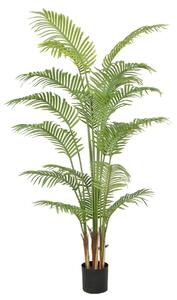 Decorative Plant Polyurethane Cement Areca 180 cm