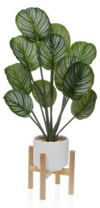 Decorative Plant Versa