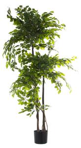 Decorative Plant Alexandra House Living Plastic Fig Tree 18 x 22 x 162 cm