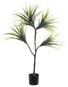 Decorative Plant Alexandra House Living Plastic Dracaena 15 x 27 x 121 cm