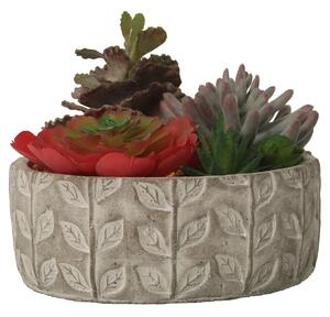 Decorative Plant Alexandra House Living Plastic Succulent 20 x 21 x 18 cm