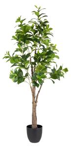 Decorative Plant Green PVC 145 cm Peperomia