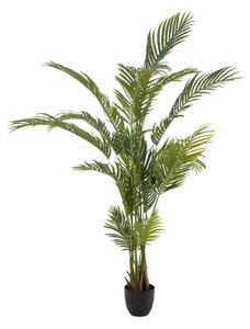 Decorative Plant Polyethylene Palm tree 110 x 110 x 170 cm